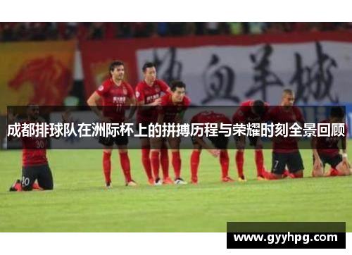 成都排球队在洲际杯上的拼搏历程与荣耀时刻全景回顾