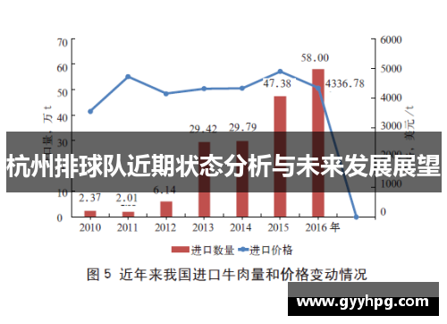 杭州排球队近期状态分析与未来发展展望